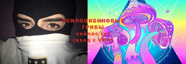 твердый Алексин