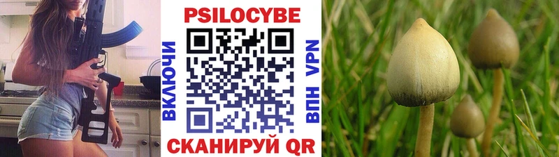 Галлюциногенные грибы Psilocybe  где найти наркотики  Гаврилов Посад 